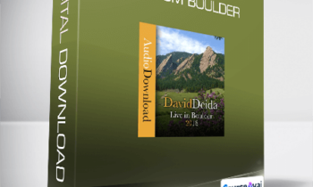 David Deida - Live from Boulder