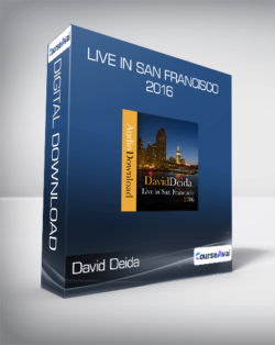 David Deida - Live in San Francisco 2016