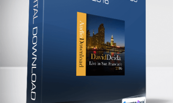 David Deida - Live in San Francisco 2016