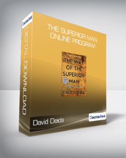 David Deida - The Superior Man Online Program