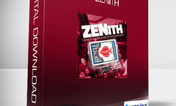 David Stone - Zenith
