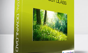 Dr. Elaine Ingham - Compost Class