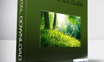 Dr. Elaine Ingham - Life In The Soil Class