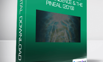 Joe Dispenza - Rewired Episode 11:  Transcendence & the Pineal (2019)