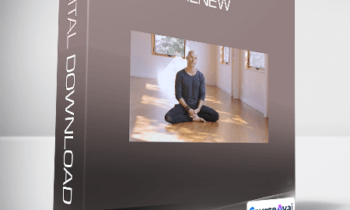 Honza Lafond - Renew