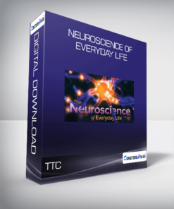 TTC - Neuroscience of Everyday Life