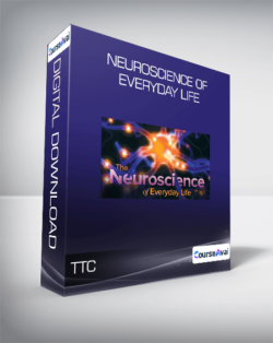 TTC - Neuroscience of Everyday Life