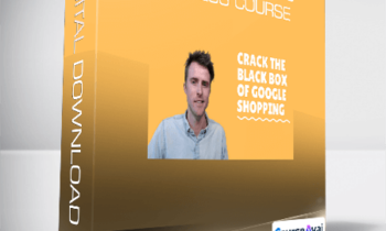 Dennis Moons - Google Shopping Success Course