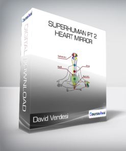 David Verdesi - Superhuman Pt 2 - Heart Mirror