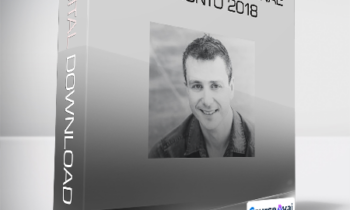 James Tripp - Hypnotic Phenomenae Toronto 2018