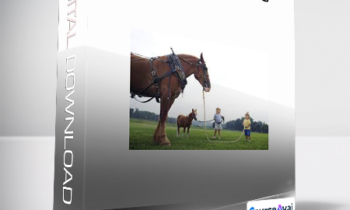 Rudy Hunter - The PACE Process