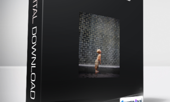 Rudy Hunter - Hitting The Bricks