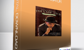 Patrick Redford - Prevaricator