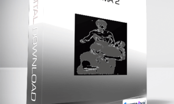 Paul Vunak - Enigma 2