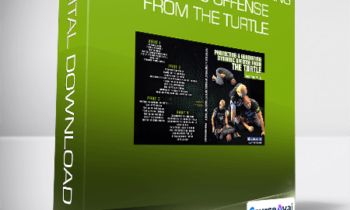 Priit Mihkelson - Protecting & Generating Dynamic Offense From The Turtle