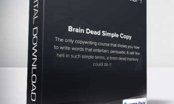 Nate Schmidt - Brain Dead Simple Copy