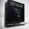 Granular - Pioneer CDJ Course Level 1 (Beginners)