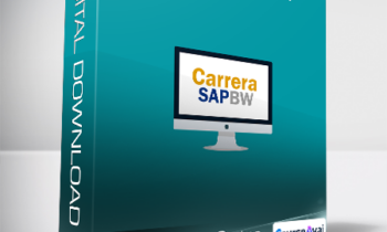 Jose Aldemar Cortes  - Carrera SAP BW