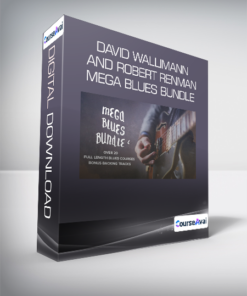 David Wallimann and Robert Renman - MEGA BLUES BUNDLE