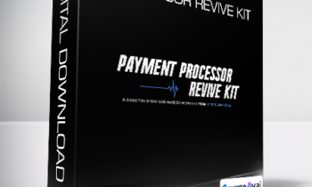 Mr Ecomm - Payment Processor Revive KIT