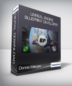 Donnie Marges - Unreal Engine Blueprint Developer
