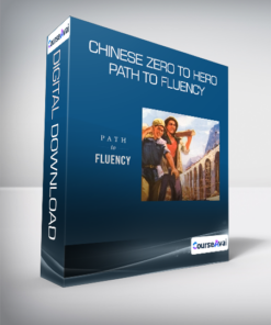 Chinese Zero to Hero - Path to Fluency
