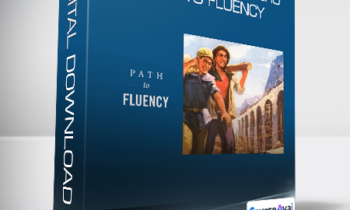 Chinese Zero to Hero - Path to Fluency