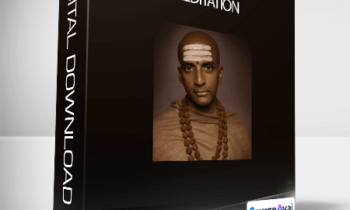 Dandapanillc - Introduction to Meditation