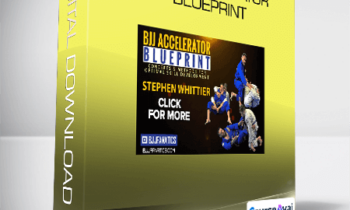 Stephen Whittier - BJJ Accelerator Blueprint