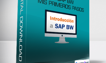 Nivel Experto - Introducción a SAP BW Mis primeros pasos