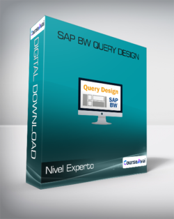 Nivel Experto - SAP BW Query Design