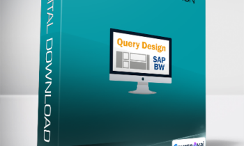 Nivel Experto - SAP BW Query Design
