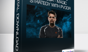 Paulo Vitor Damo da Rosa - Magic Strategy with PVDDR