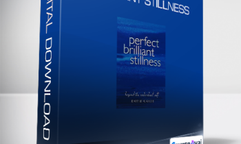David Carse - Perfect Brilliant Stillness