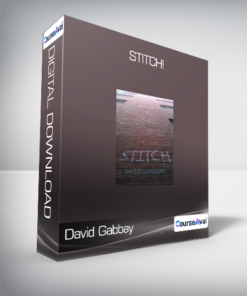 David Gabbay - Stitch!