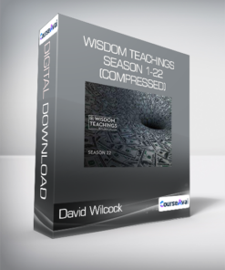 David Wilcock - Wisdom Teachings season 1-22 (Compressed)