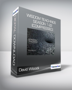 David Wilcock - Wisdom Teachings season 1-22 (Compressed)