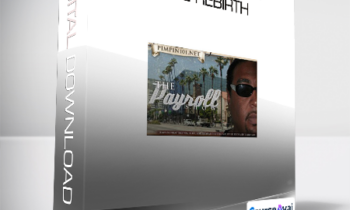 Payroll The Pimp - The Rebirth