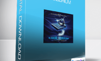 Jesse Feinberg - Equilibrium