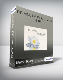 Genpo Roshi - Big Mind DVD Vol 3 - 4 - 5 - 6 (Rip)