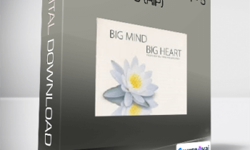 Genpo Roshi - Big Mind DVD Vol 3 - 4 - 5 - 6 (Rip)