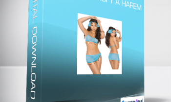 The Seeker - How to Satisfy a Harem