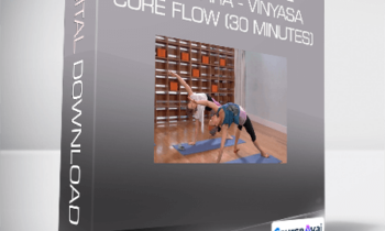Yoga Collective - Anaswara - Vinyasa Core Flow (30 Minutes)