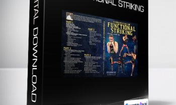 Stephen Whittier - Fundamentals of Functional Striking