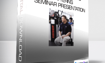 Dr. Pat Davidson - Rethinking The Big Patterns Seminar Presentation