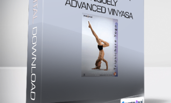 Edward Clark - Tripsichore Yoga - Uniquely Advanced Vinyasa