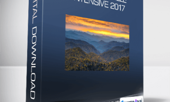 Bentinho Massaro - 2 Day Asheville Intensive 2017