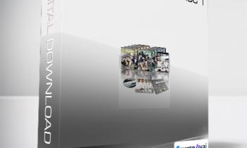 Gracie Jiu Jitsu - Gracie Combatives Disc 1