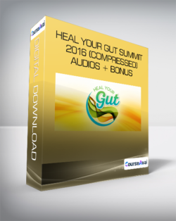 Heal Your Gut Summit 2016 (compressed) + audios + bonus