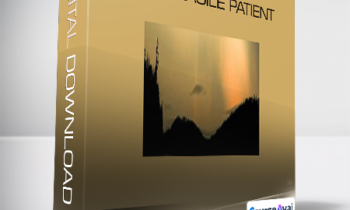 ISTDP Institute - Treatment of the Fragile Patient